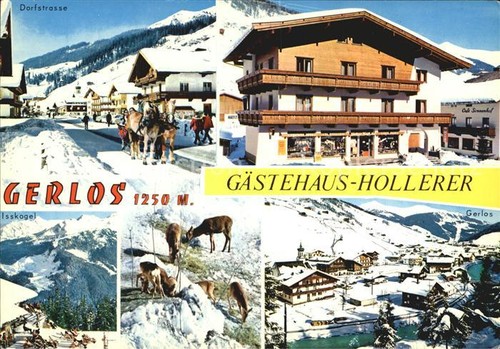 Gerlos gasthaus hollerer - gerlos,