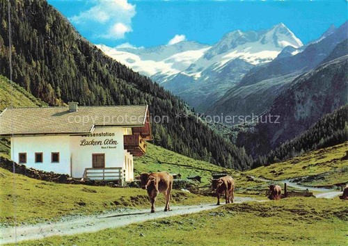 Lackenalm 1400m gerlos - lackenalm,