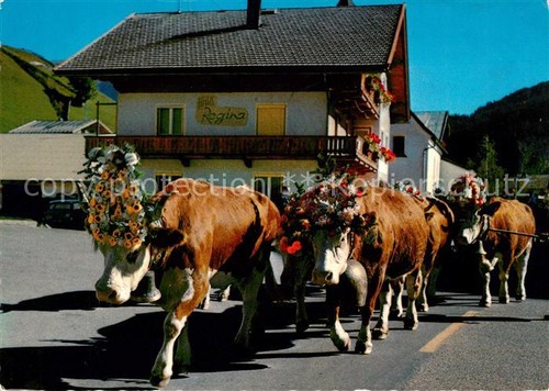 Gerlos almabtrieb kuehe - gerlos,